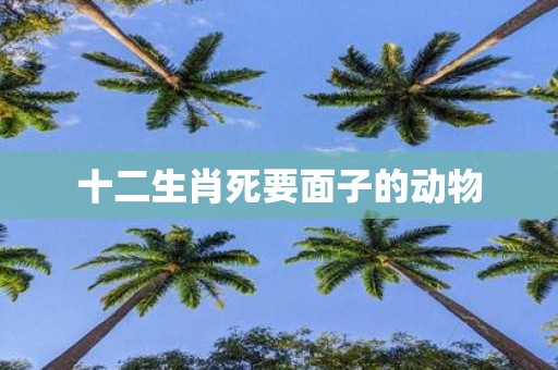 十二生肖死要面子的动物