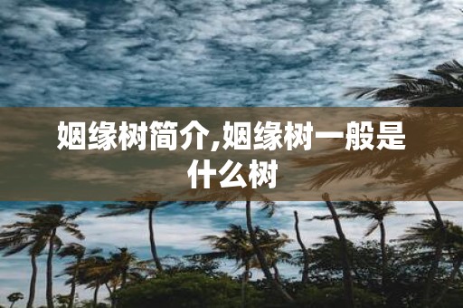姻缘树简介,姻缘树一般是什么树