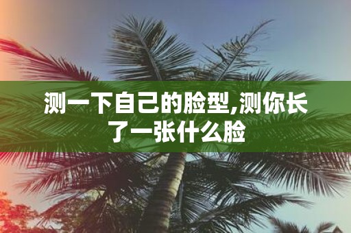 测一下自己的脸型,测你长了一张什么脸