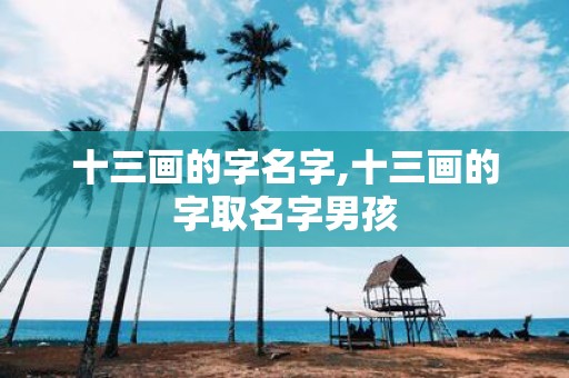 十三画的字名字,十三画的字取名字男孩