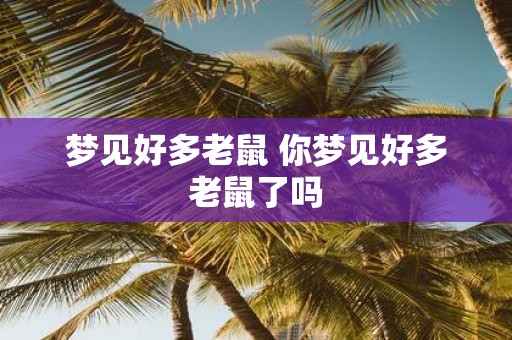 梦见好多老鼠 你梦见好多老鼠了吗