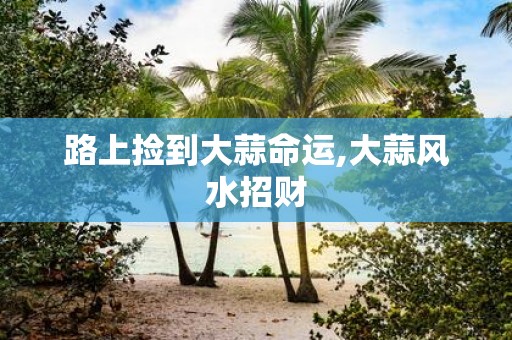 路上捡到大蒜命运,大蒜风水招财