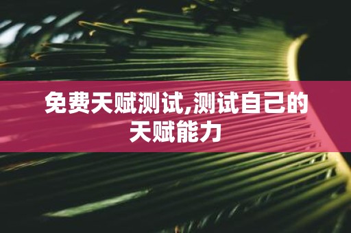 免费天赋测试,测试自己的天赋能力