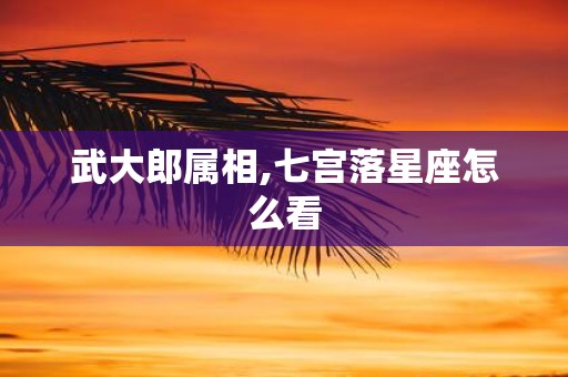 武大郎属相,七宫落星座怎么看