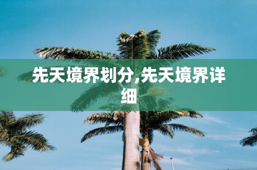 先天境界划分,先天境界详细