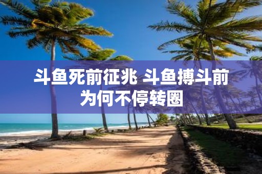 斗鱼死前征兆 斗鱼搏斗前为何不停转圈