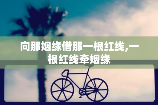 向那姻缘借那一根红线,一根红线牵姻缘