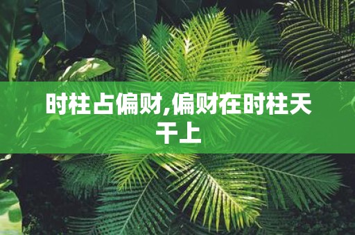 时柱占偏财,偏财在时柱天干上