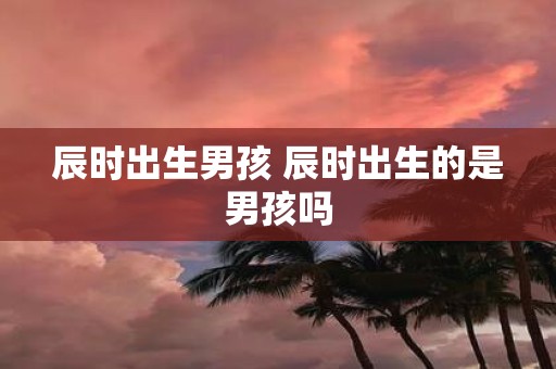 辰时出生男孩 辰时出生的是男孩吗
