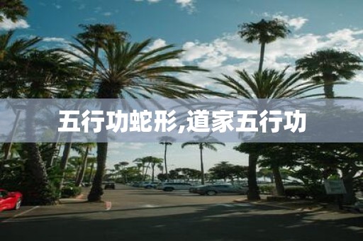 五行功蛇形,道家五行功