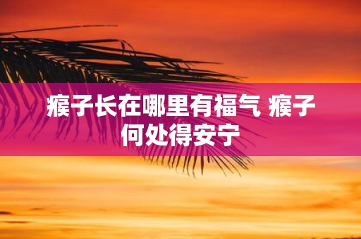 瘊子长在哪里有福气 瘊子何处得安宁