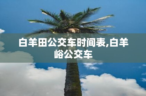 白羊田公交车时间表,白羊峪公交车