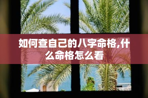 如何查自己的八字命格,什么命格怎么看