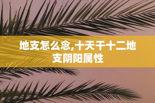 地支怎么念,十天干十二地支阴阳属性