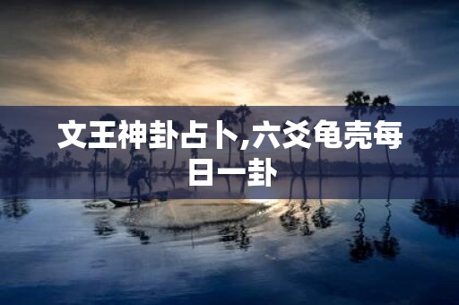 文王神卦占卜,六爻龟壳每日一卦