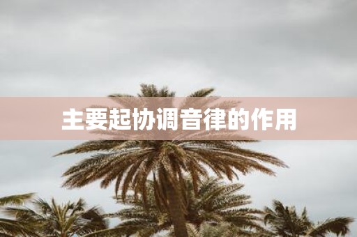 主要起协调音律的作用