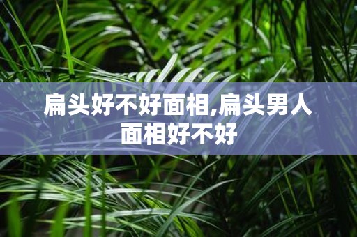 扁头好不好面相,扁头男人面相好不好