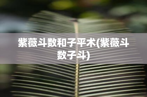 紫薇斗数和子平术(紫薇斗数子斗)