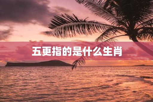 五更指的是什么生肖