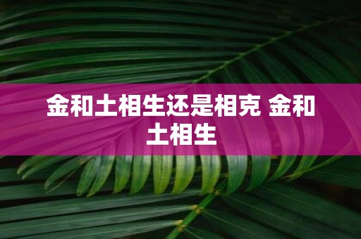 金和土相生还是相克 金和土相生