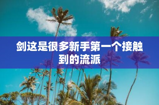 剑这是很多新手第一个接触到的流派