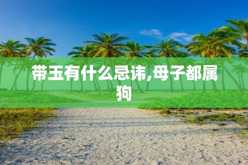 带玉有什么忌讳,母子都属狗