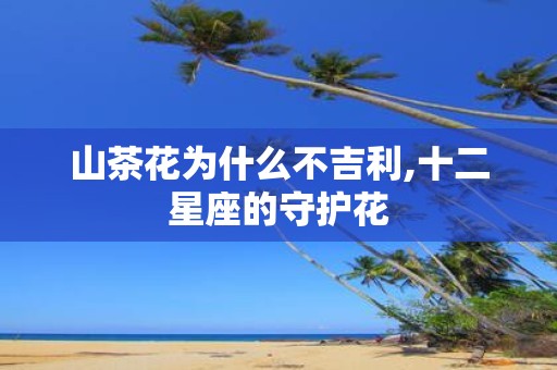 山茶花为什么不吉利,十二星座的守护花