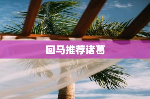 回马推荐诸葛