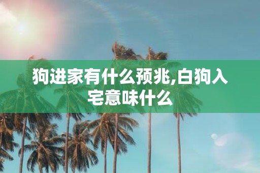 狗进家有什么预兆,白狗入宅意味什么