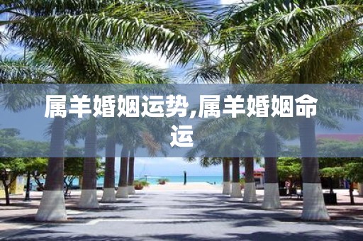 属羊婚姻运势,属羊婚姻命运