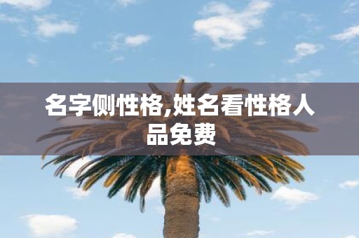 名字侧性格,姓名看性格人品免费