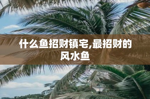 什么鱼招财镇宅,最招财的风水鱼