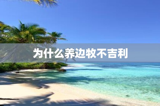 为什么养边牧不吉利