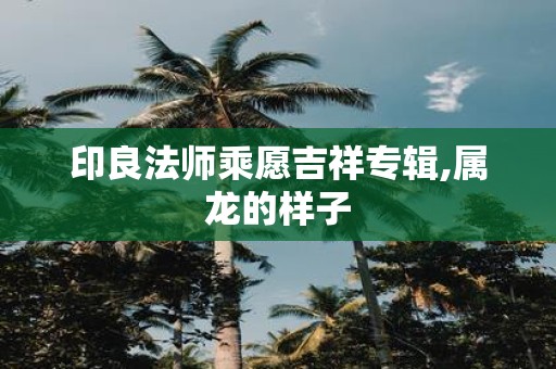 印良法师乘愿吉祥专辑,属龙的样子