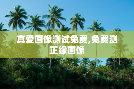 真爱画像测试免费,免费测正缘画像