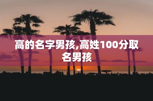 高的名字男孩,高姓100分取名男孩