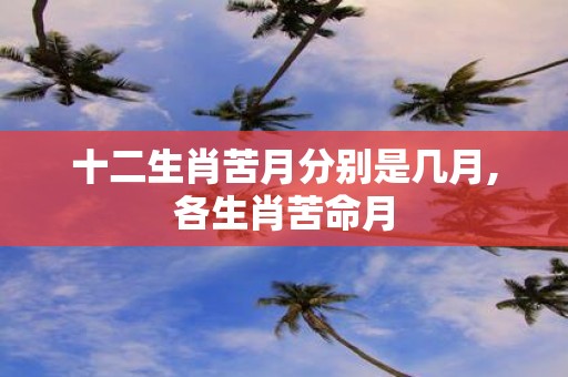 十二生肖苦月分别是几月,各生肖苦命月