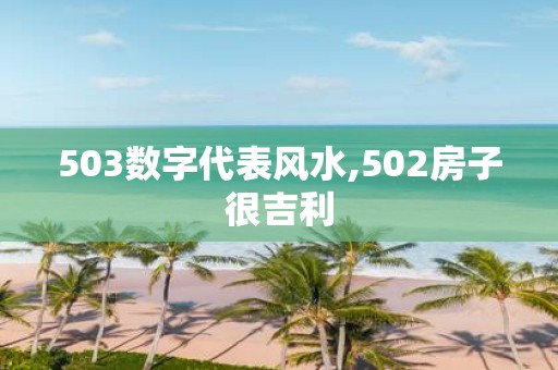 503数字代表风水,502房子很吉利