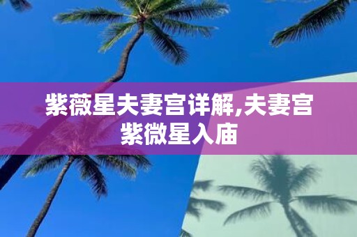 紫薇星夫妻宫详解,夫妻宫紫微星入庙