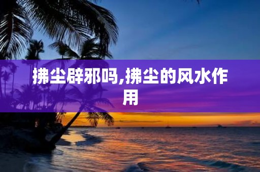 拂尘辟邪吗,拂尘的风水作用