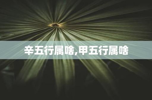 辛五行属啥,甲五行属啥