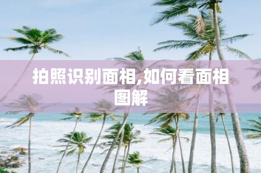 拍照识别面相,如何看面相图解