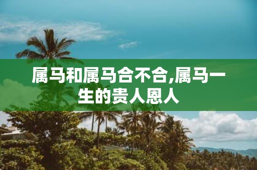 属马和属马合不合,属马一生的贵人恩人