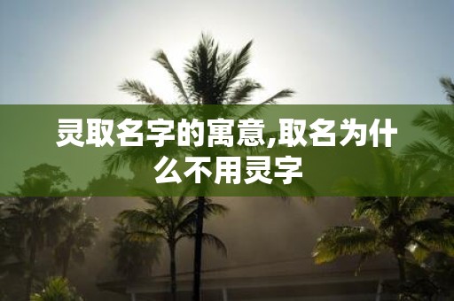 灵取名字的寓意,取名为什么不用灵字