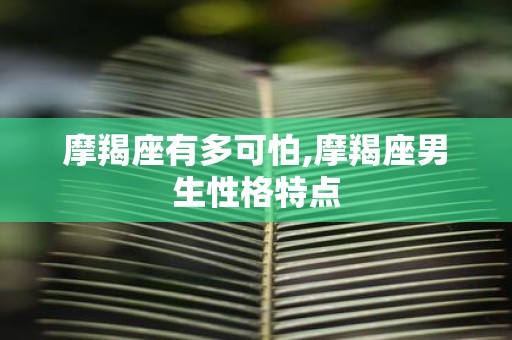 摩羯座有多可怕,摩羯座男生性格特点