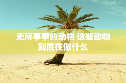 无所事事的动物 这些动物到底在做什么