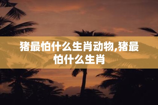 猪最怕什么生肖动物,猪最怕什么生肖