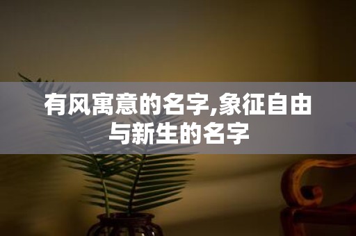 有风寓意的名字,象征自由与新生的名字