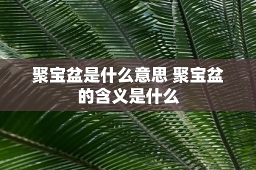 聚宝盆是什么意思 聚宝盆的含义是什么