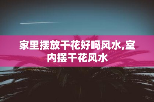 家里摆放干花好吗风水,室内摆干花风水